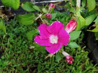 DSCN0566