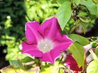 DSCN1424