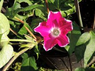 DSCN3901
