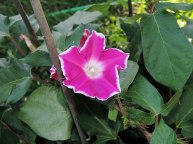 DSCN4359