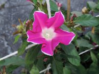DSCN5773