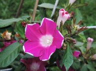 DSCN6147