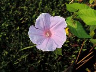 DSCN1071