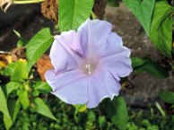 DSCN1422