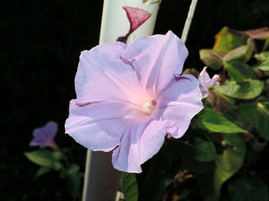 DSCN8845_01