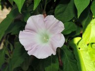 4DSCN0663