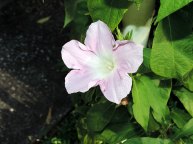 DSCN0152