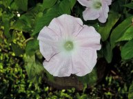 DSCN0316