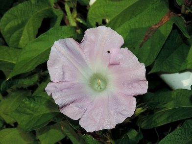 DSCN1072