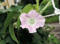 DSCN5304