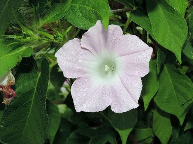 DSCN8491