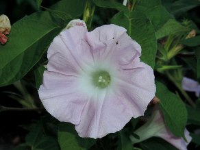 DSCN8848_01