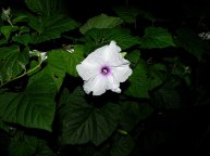 DSCN4829_01