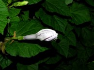 DSCN4893_01