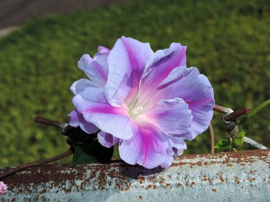 1DSCN5539