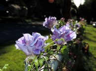 5DSCN5649