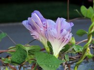 DSCN0047