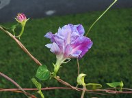 DSCN0984