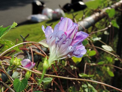 DSCN1102