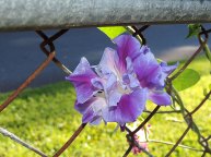 DSCN3837