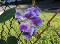 DSCN3838