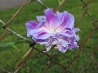 DSCN3931