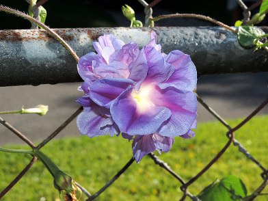 DSCN5317