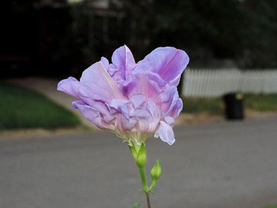 DSCN7061