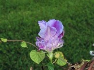 DSCN8285
