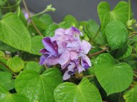 DSCN9711