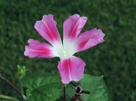 DSCN1408