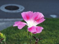 DSCN1655