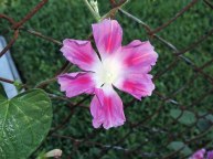 DSCN1656