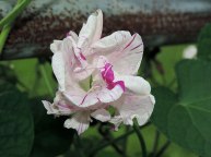 DSCN1272