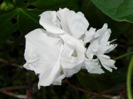 DSCN6756_01