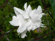 DSCN6757_01