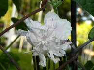 DSCN6758_01