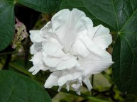 DSCN6759_01