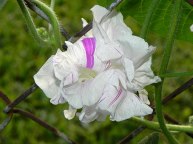 DSCN6783_01
