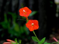 2DSCN7573