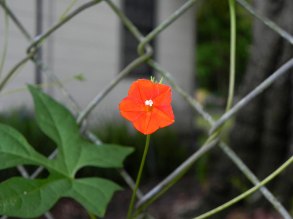 DSCN7279