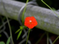 DSCN7379