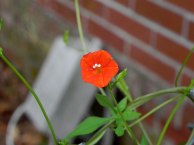DSCN7421