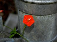 DSCN7575