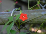 DSCN7576