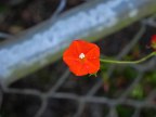 DSCN7791