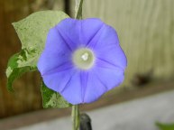 DSCN4065