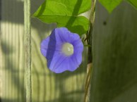 DSCN4260