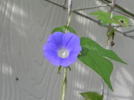 DSCN4913