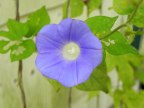 DSCN7641